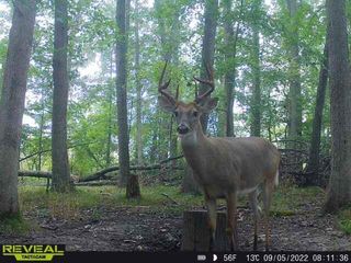 9159 Moreland Road, Jerome, MI 49249