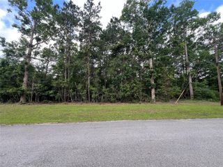 319 Lost Lake Trail, Livingston, TX 77351