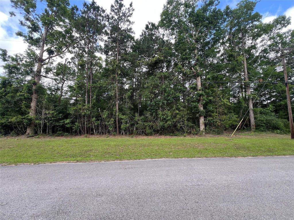 319 Lost Lake Trail, Livingston, TX 77351