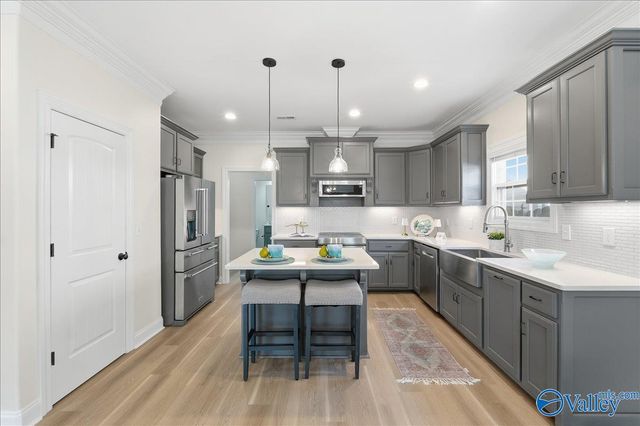 107 Pipet Way, Madison, AL 35758