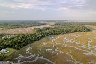 0 Sheffield Island Road 2, Woodbine, GA 31569
