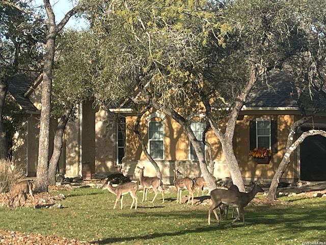 158 Lantana Cerro, Spring Branch, TX 78070