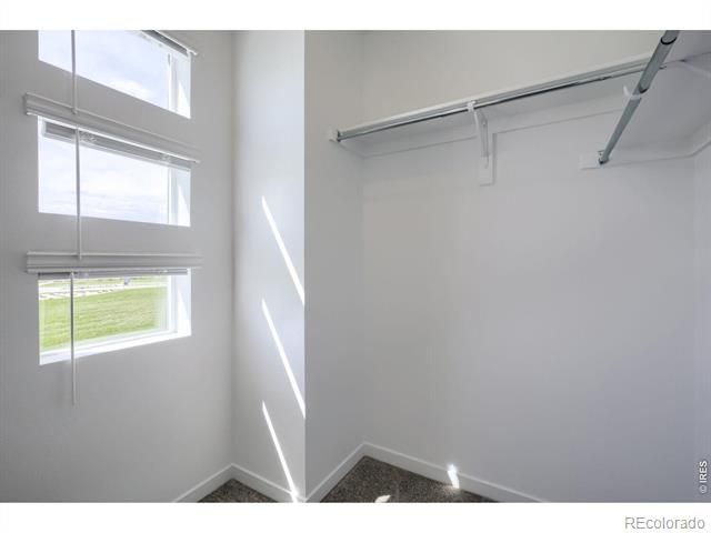 3053 Gladstone Avenue, Loveland, CO 80538