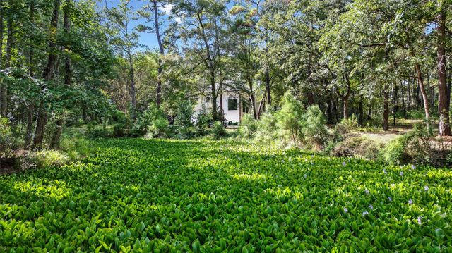 20002 Sapphire Circle, Magnolia, TX 77355