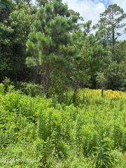 1015 Meridian Drive, Sneads Ferry, NC 28460