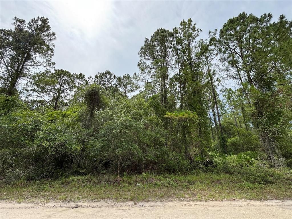 113 MEADOW DRIVE, Georgetown, FL 32139