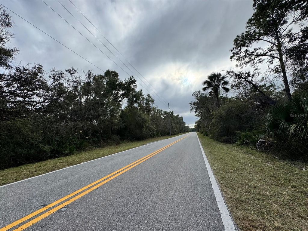 0000 REYNOLDS ROAD, De Leon Springs, FL 32130