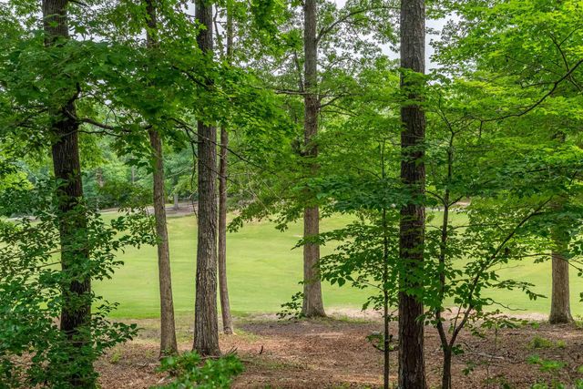 4 Quieto Trace, Hot Springs Village, AR 71909