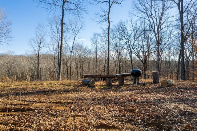 164 Lewis Cir, Dover, TN 37058