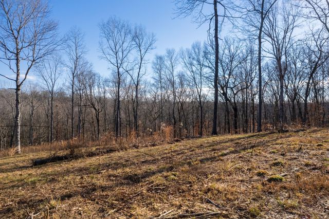 164 Lewis Cir, Dover, TN 37058