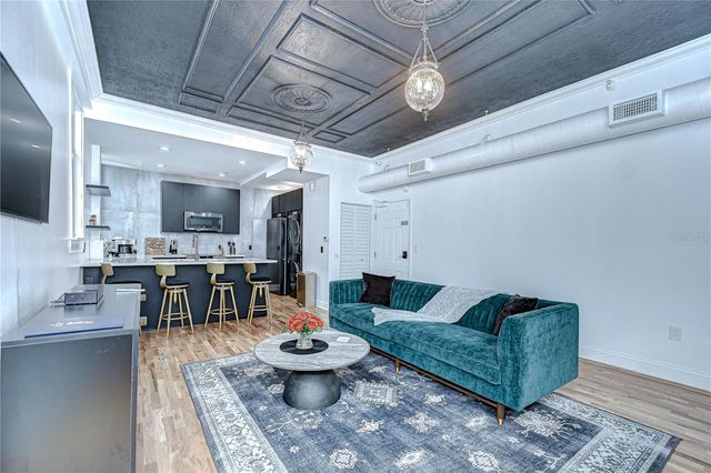 215 CENTRAL AVENUE 2B, St Petersburg, FL 33701