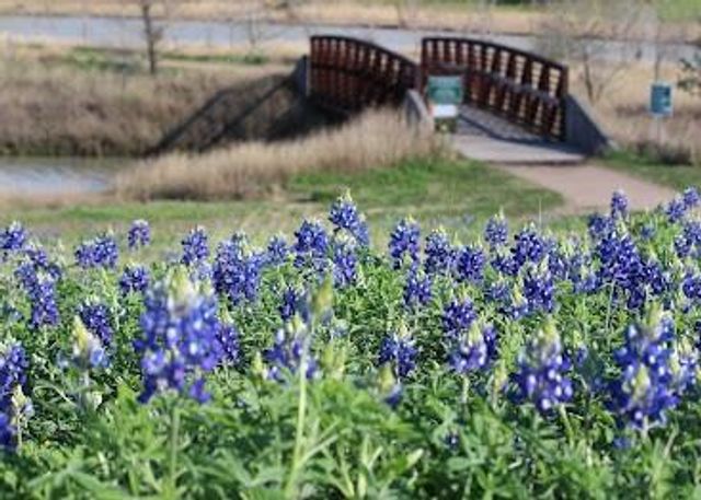 5747 Greencraig Drive, Houston, TX 77035