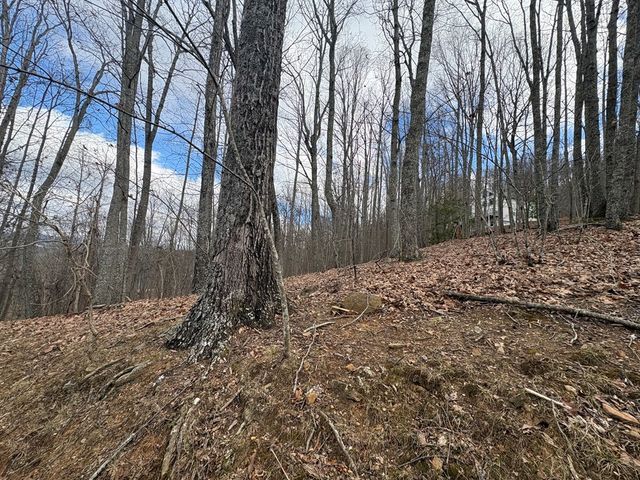 7C & 7D Timber Bend, Blairsville, GA 30512