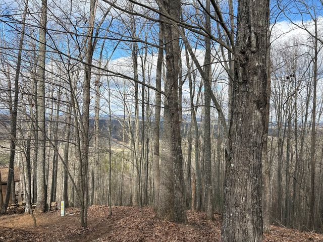 7C & 7D Timber Bend, Blairsville, GA 30512