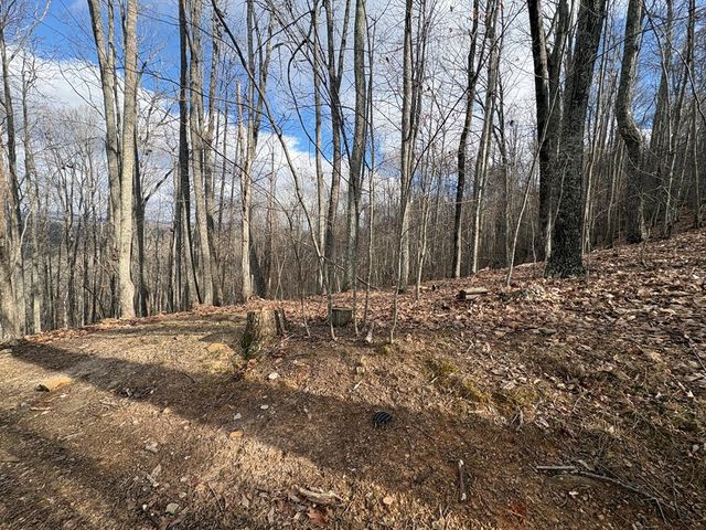 7C & 7D Timber Bend, Blairsville, GA 30512