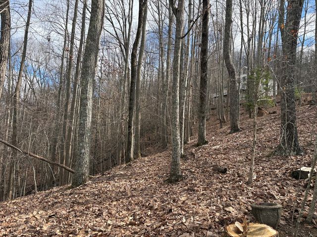 7C & 7D Timber Bend, Blairsville, GA 30512