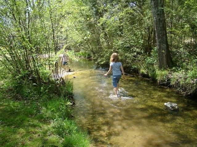 395 Good Hope Rd, Leoma, TN 38468