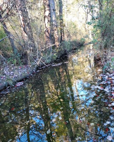 395 Good Hope Rd, Leoma, TN 38468