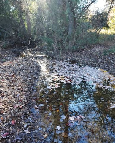 395 Good Hope Rd, Leoma, TN 38468