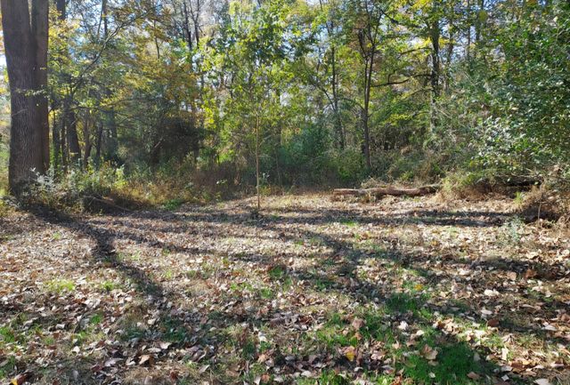 395 Good Hope Rd, Leoma, TN 38468