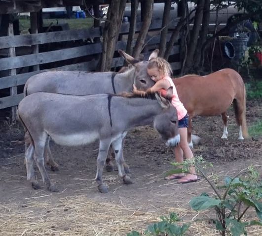 395 Good Hope Rd, Leoma, TN 38468