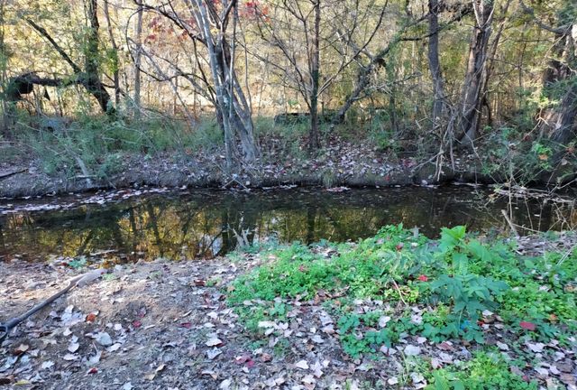 395 Good Hope Rd, Leoma, TN 38468