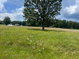 000 Private Rd 8825, West Plains, MO 65775