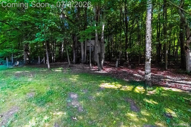 2436 Judy Conn Drive, Mayfield Township, MI 48446
