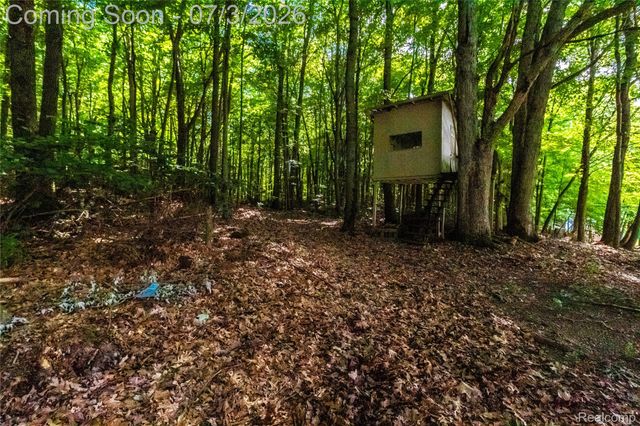 2436 Judy Conn Drive, Mayfield Township, MI 48446