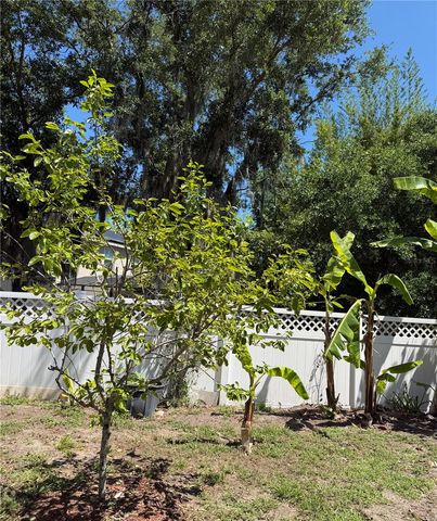 2803 MOONSTONE BEND, Kissimmee, FL 34758