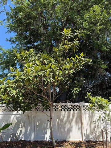 2803 MOONSTONE BEND, Kissimmee, FL 34758