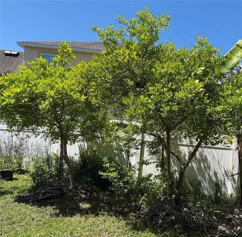 2803 MOONSTONE BEND, Kissimmee, FL 34758
