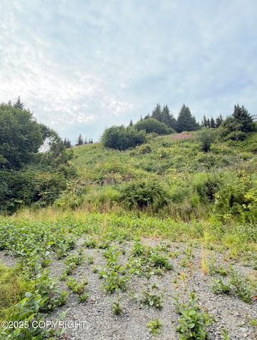 580 Fireweed Avenue, Homer, AK 99603