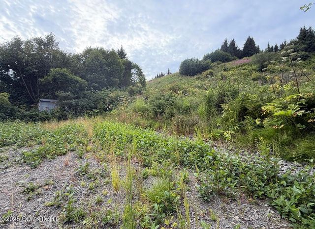 580 Fireweed Avenue, Homer, AK 99603