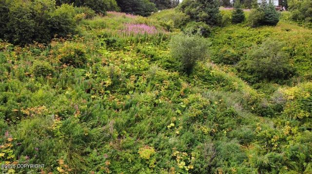 580 Fireweed Avenue, Homer, AK 99603