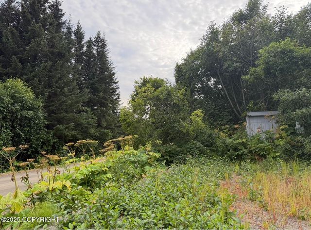 580 Fireweed Avenue, Homer, AK 99603