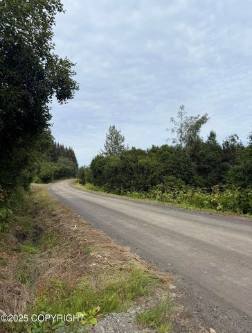 580 Fireweed Avenue, Homer, AK 99603