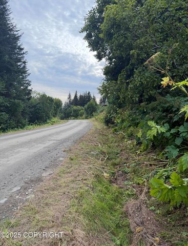 580 Fireweed Avenue, Homer, AK 99603