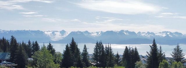 580 Fireweed Avenue, Homer, AK 99603