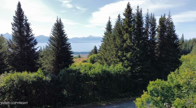 580 Fireweed Avenue, Homer, AK 99603