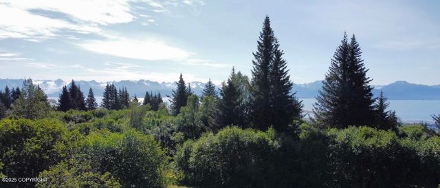 580 Fireweed Avenue, Homer, AK 99603