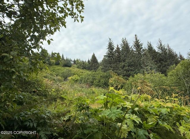 580 Fireweed Avenue, Homer, AK 99603