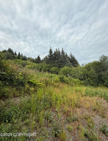 580 Fireweed Avenue, Homer, AK 99603