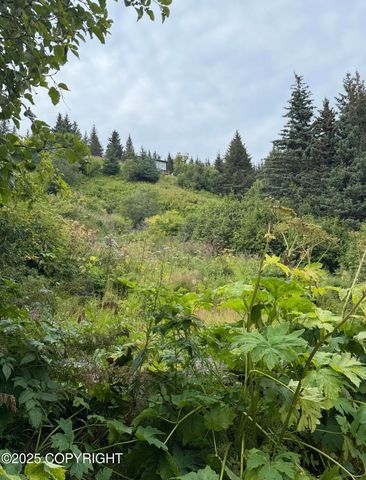 580 Fireweed Avenue, Homer, AK 99603