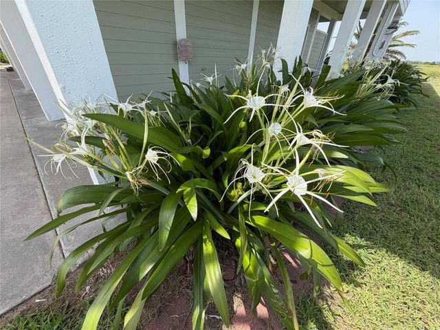 979 Rancho Carribe Drive, Crystal Beach, TX 77650