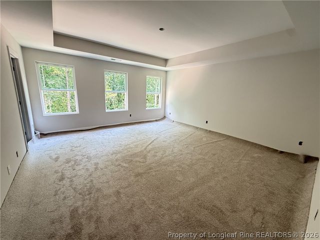 541 Grand Griffon Way, Lillington, NC 27546