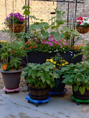 317 Azalea Drive, Hobart, IN 46342