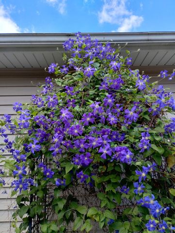 317 Azalea Drive, Hobart, IN 46342