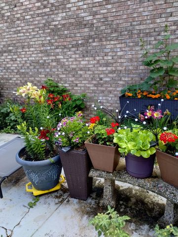 317 Azalea Drive, Hobart, IN 46342