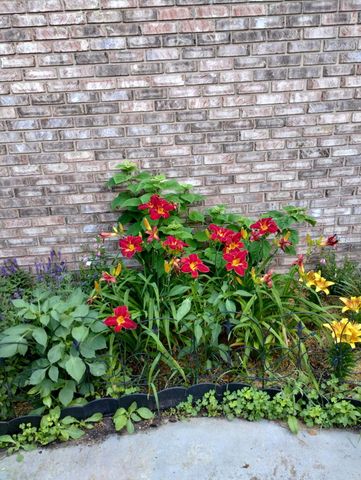 317 Azalea Drive, Hobart, IN 46342